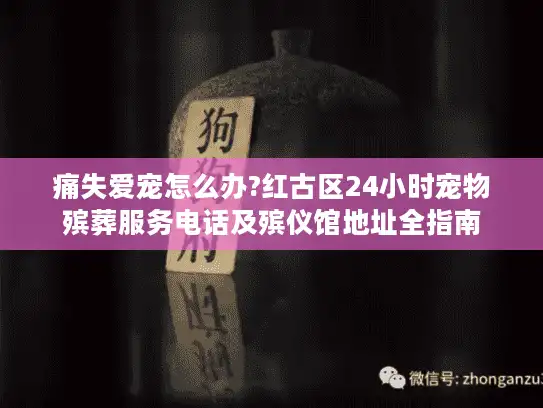 痛失爱宠怎么办?红古区24小时宠物殡葬服务电话及殡仪馆地址全指南