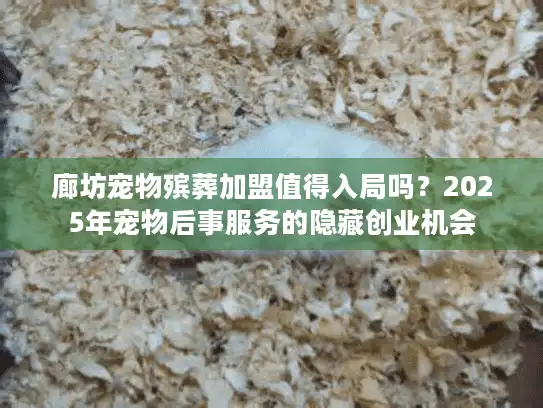 廊坊宠物殡葬加盟值得入局吗？2025年宠物后事服务的隐藏创业机会