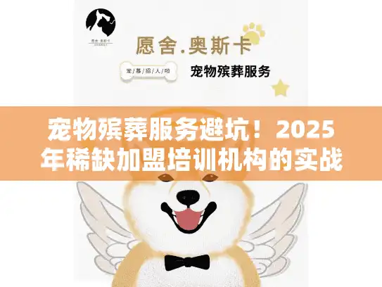 宠物殡葬服务避坑！2025年稀缺加盟培训机构的实战案例揭秘