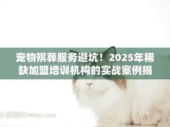 宠物殡葬服务避坑！2025年稀缺加盟培训机构的实战案例揭秘