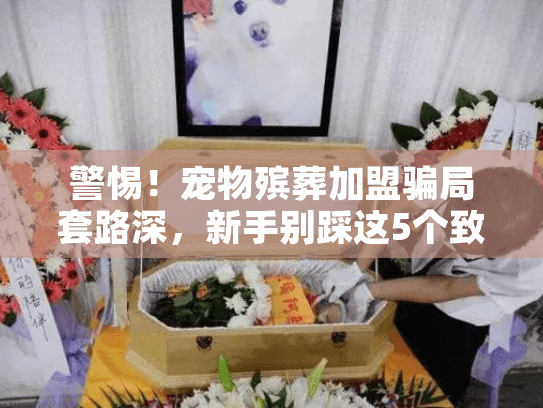 警惕！宠物殡葬加盟骗局套路深，新手别踩这5个致命坑（内附真实案例）