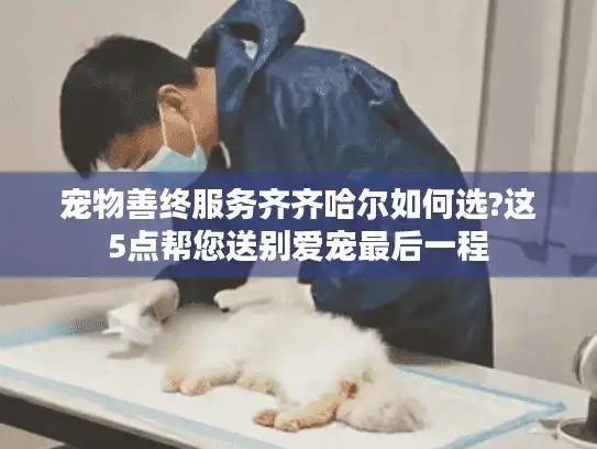 宠物善终服务齐齐哈尔如何选?这5点帮您送别爱宠最后一程