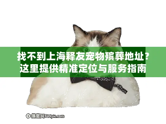 找不到上海释友宠物殡葬地址？这里提供精准定位与服务指南