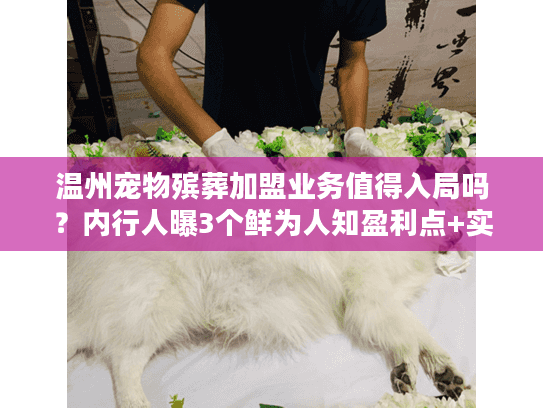 温州宠物殡葬加盟业务值得入局吗?内行人曝3个鲜为人知盈利点+实战案例 温州宠物殡葬加盟业务值得入局吗?内行人曝3个鲜为人知盈利点+实战案例