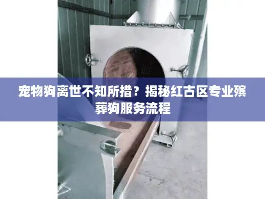 宠物狗离世不知所措？揭秘红古区专业殡葬狗服务流程