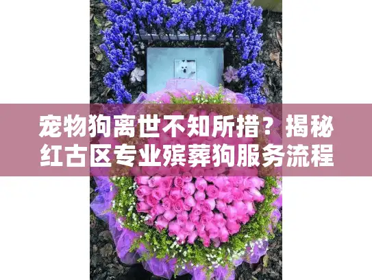 宠物狗离世不知所措？揭秘红古区专业殡葬狗服务流程