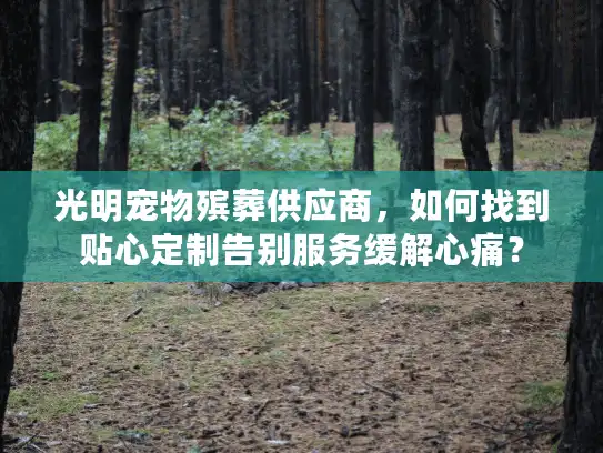 光明宠物殡葬供应商，如何找到贴心定制告别服务缓解心痛？