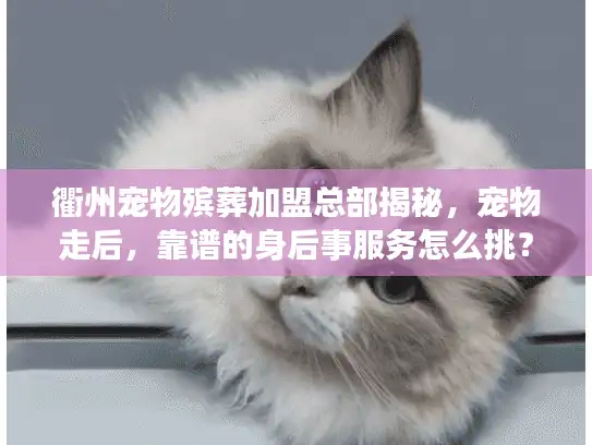 衢州宠物殡葬加盟总部揭秘，宠物走后，靠谱的身后事服务怎么挑？