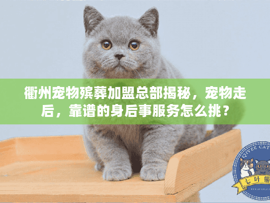 衢州宠物殡葬加盟总部揭秘，宠物走后，靠谱的身后事服务怎么挑？