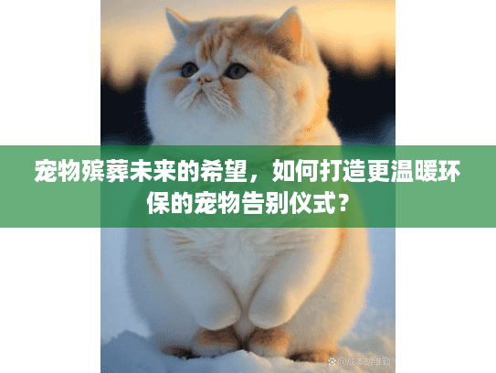 宠物殡葬未来的希望，如何打造更温暖环保的宠物告别仪式？