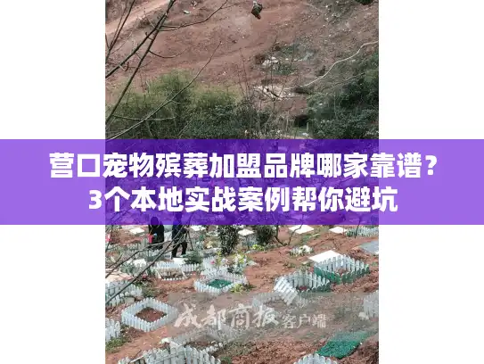 营口宠物殡葬加盟品牌哪家靠谱？3个本地实战案例帮你避坑