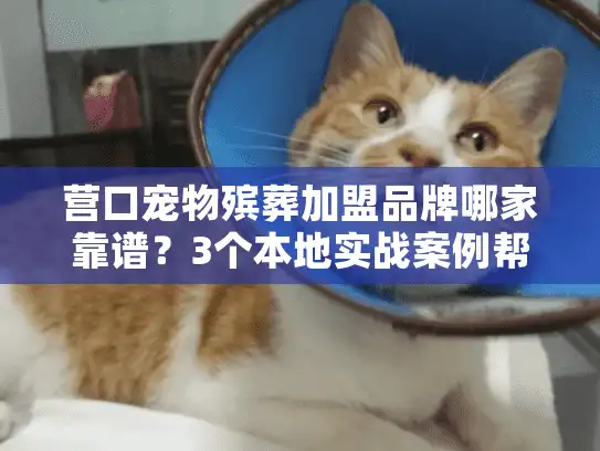 营口宠物殡葬加盟品牌哪家靠谱？3个本地实战案例帮你避坑