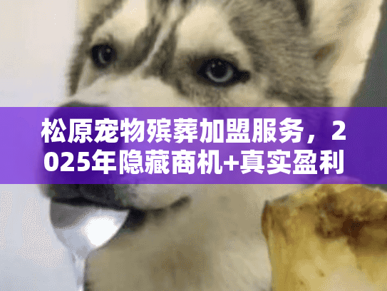 松原宠物殡葬加盟服务,2025年隐藏商机+真实盈利案例,现在入局晚吗? 松原宠物殡葬加盟服务,2025年隐藏商机+真实盈利案例,现在入局晚吗?