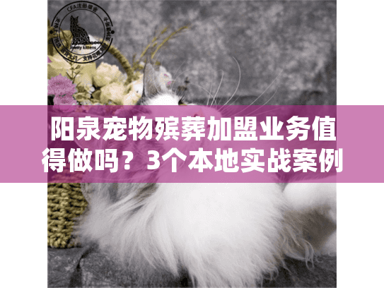 阳泉宠物殡葬加盟业务值得做吗?3个本地实战案例揭露行业真相! 阳泉宠物殡葬加盟业务值得做吗?3个本地实战案例揭露行业真相!