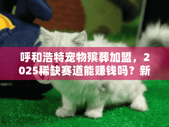 呼和浩特宠物殡葬加盟,2025稀缺赛道能赚钱吗?新手实战案例拆解 呼和浩特宠物殡葬加盟,2025稀缺赛道能赚钱吗?新手实战案例拆解