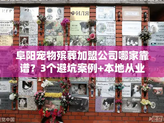 阜阳宠物殡葬加盟公司哪家靠谱？3个避坑案例+本地从业者揭秘行业真相