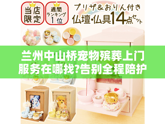 兰州中山桥宠物殡葬上门服务在哪找?告别全程陪护指南