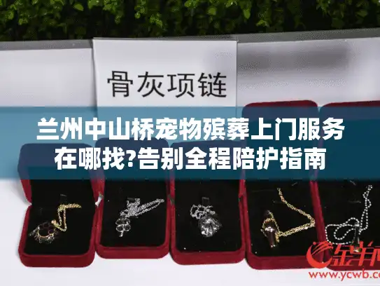 兰州中山桥宠物殡葬上门服务在哪找?告别全程陪护指南