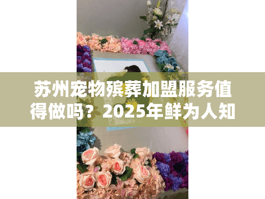 苏州宠物殡葬加盟服务值得做吗?2025年鲜为人知的实战案例+行业门道全解析 苏州宠物殡葬加盟服务值得做吗?2025年鲜为人知的实战案例+行业门道全解析