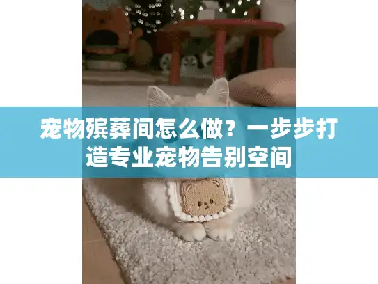 宠物殡葬间怎么做？一步步打造专业宠物告别空间