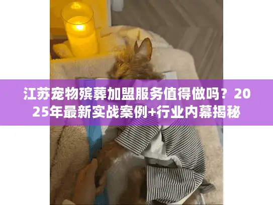 江苏宠物殡葬加盟服务值得做吗？2025年最新实战案例+行业内幕揭秘