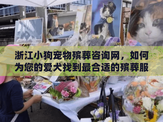 浙江小狗宠物殡葬咨询网，如何为您的爱犬找到最合适的殡葬服务？