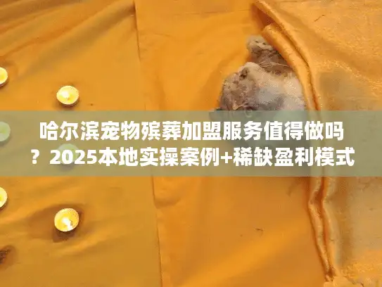 哈尔滨宠物殡葬加盟服务值得做吗？2025本地实操案例+稀缺盈利模式揭秘