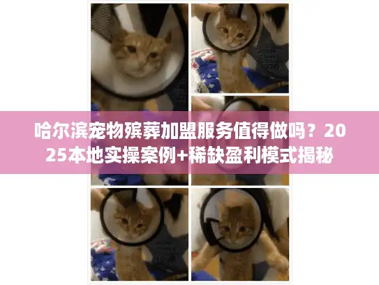 哈尔滨宠物殡葬加盟服务值得做吗？2025本地实操案例+稀缺盈利模式揭秘