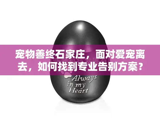 宠物善终石家庄，面对爱宠离去，如何找到专业告别方案？