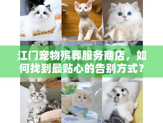 江门宠物殡葬服务商店，如何找到最贴心的告别方式？