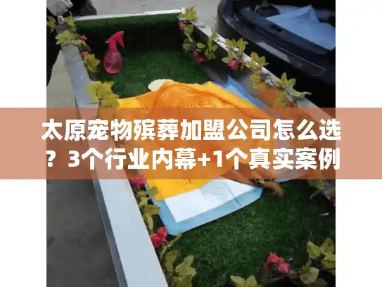 太原宠物殡葬加盟公司怎么选？3个行业内幕+1个真实案例帮你避坑