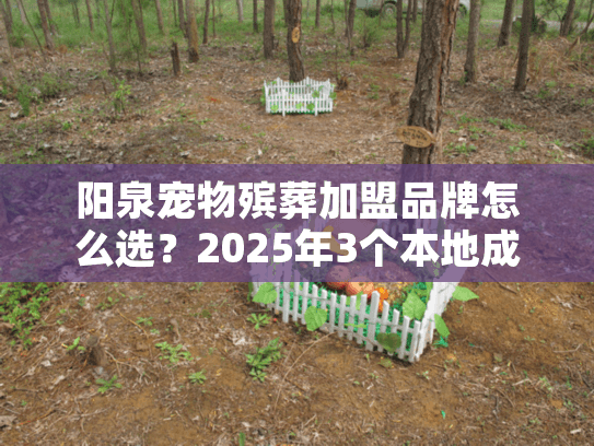 阳泉宠物殡葬加盟品牌怎么选?2025年3个本地成功案例揭秘真相 阳泉宠物殡葬加盟品牌怎么选?2025年3个本地成功案例揭秘真相