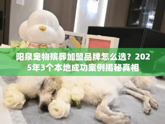 阳泉宠物殡葬加盟品牌怎么选?2025年3个本地成功案例揭秘真相 阳泉宠物殡葬加盟品牌怎么选?2025年3个本地成功案例揭秘真相