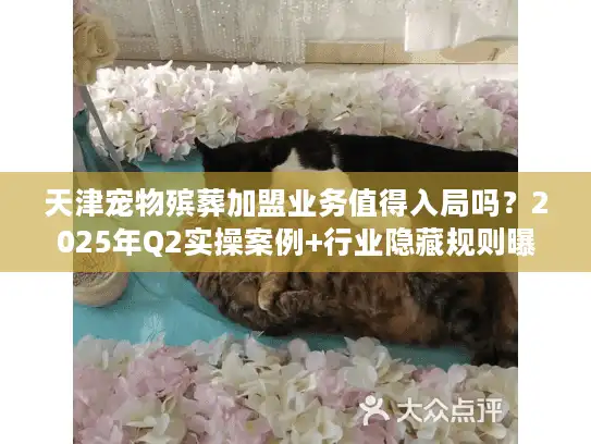 天津宠物殡葬加盟业务值得入局吗？2025年Q2实操案例+行业隐藏规则曝光