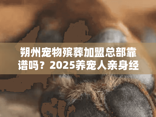 朔州宠物殡葬加盟总部靠谱吗?2025养宠人亲身经历告诉你答案! 朔州宠物殡葬加盟总部靠谱吗?2025养宠人亲身经历告诉你答案!