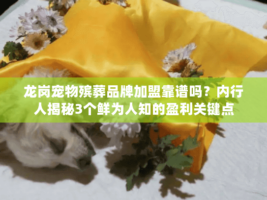 龙岗宠物殡葬品牌加盟靠谱吗?内行人揭秘3个鲜为人知的盈利关键点 龙岗宠物殡葬品牌加盟靠谱吗?内行人揭秘3个鲜为人知的盈利关键点