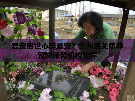 爱宠离世心碎难安？兰州西关殡葬宠物服务机构推荐