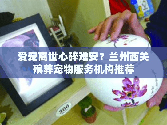 爱宠离世心碎难安？兰州西关殡葬宠物服务机构推荐