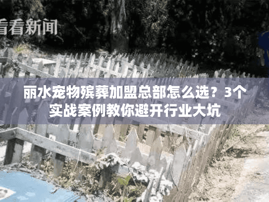 丽水宠物殡葬加盟总部怎么选？3个实战案例教你避开行业大坑