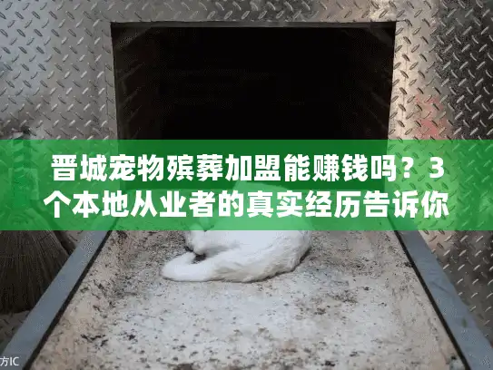 晋城宠物殡葬加盟能赚钱吗？3个本地从业者的真实经历告诉你答案