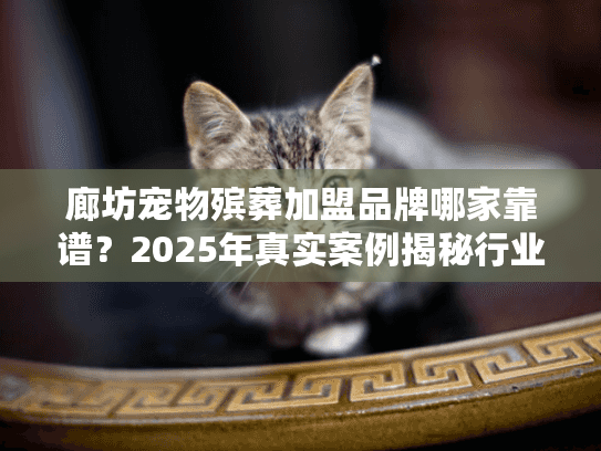 廊坊宠物殡葬加盟品牌哪家靠谱？2025年真实案例揭秘行业隐藏门道