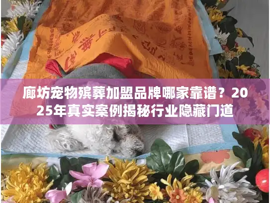 廊坊宠物殡葬加盟品牌哪家靠谱？2025年真实案例揭秘行业隐藏门道