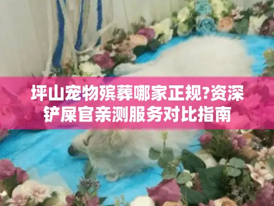 坪山宠物殡葬哪家正规?资深铲屎官亲测服务对比指南 坪山宠物殡葬哪家正规?资深铲屎官亲测服务对比指南