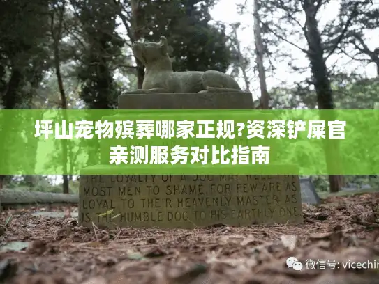坪山宠物殡葬哪家正规?资深铲屎官亲测服务对比指南 坪山宠物殡葬哪家正规?资深铲屎官亲测服务对比指南