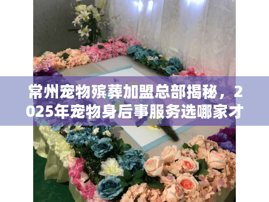 常州宠物殡葬加盟总部揭秘，2025年宠物身后事服务选哪家才不踩坑？