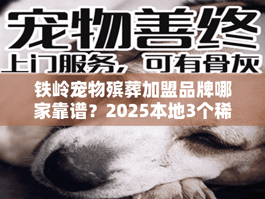 铁岭宠物殡葬加盟品牌哪家靠谱？2025本地3个稀缺优质选择揭秘