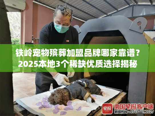铁岭宠物殡葬加盟品牌哪家靠谱？2025本地3个稀缺优质选择揭秘