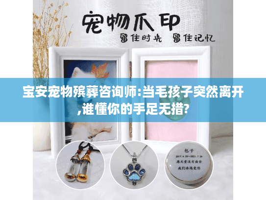 宝安宠物殡葬咨询师:当毛孩子突然离开,谁懂你的手足无措?