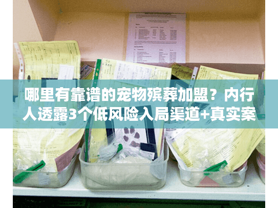 哪里有靠谱的宠物殡葬加盟？内行人透露3个低风险入局渠道+真实案例拆解