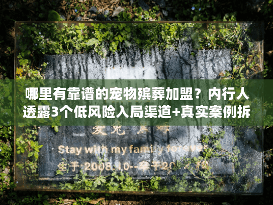 哪里有靠谱的宠物殡葬加盟？内行人透露3个低风险入局渠道+真实案例拆解